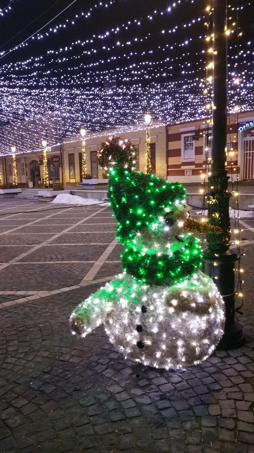 Casa Bergwald Lägenhet Rîşnov Exteriör bild