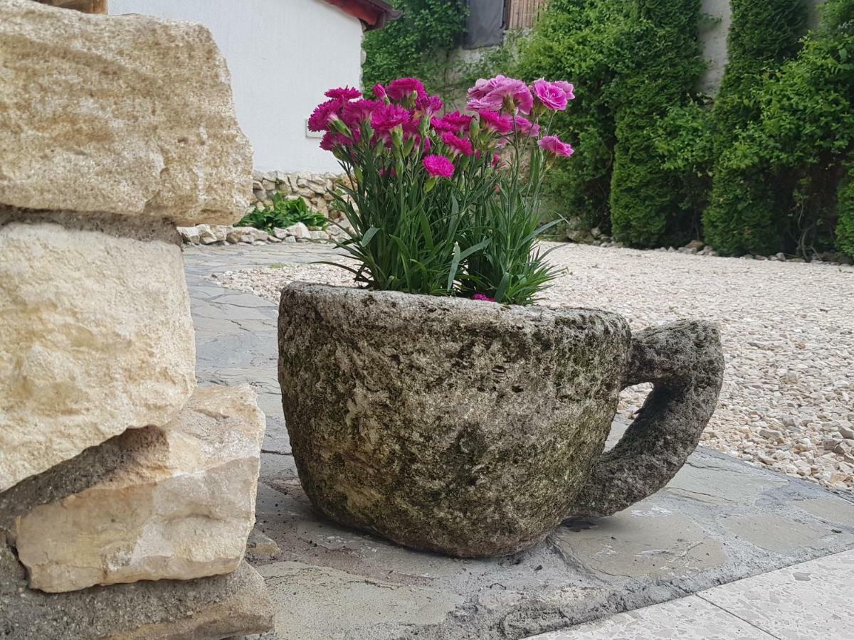Casa Bergwald Lägenhet Rîşnov Exteriör bild